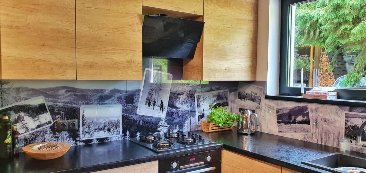 Zielona 9 Apartment Szczyrk